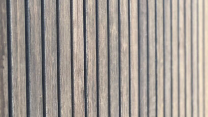 Astuces-Vis-a-Vis-Paysagiste-Paris-Agave-Paysage-Guide-Complet