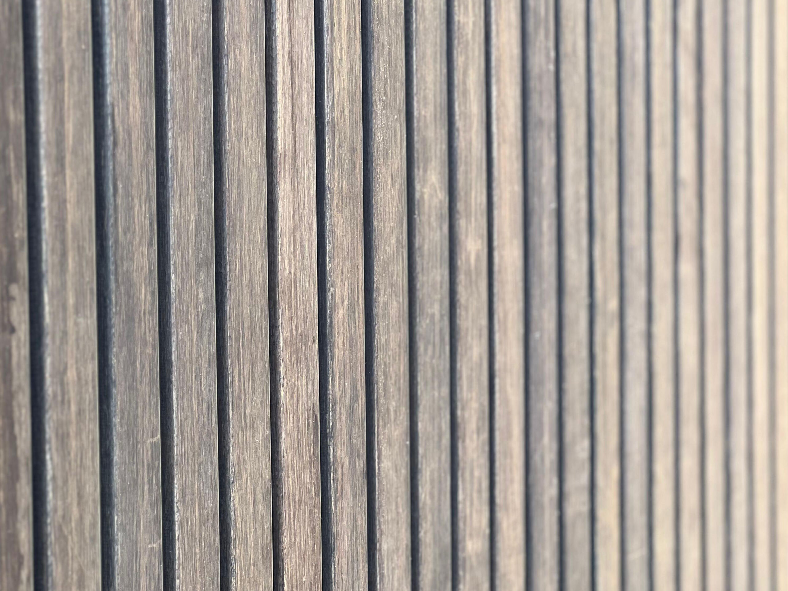 Astuces-Vis-a-Vis-Paysagiste-Paris-Agave-Paysage-Guide-Complet